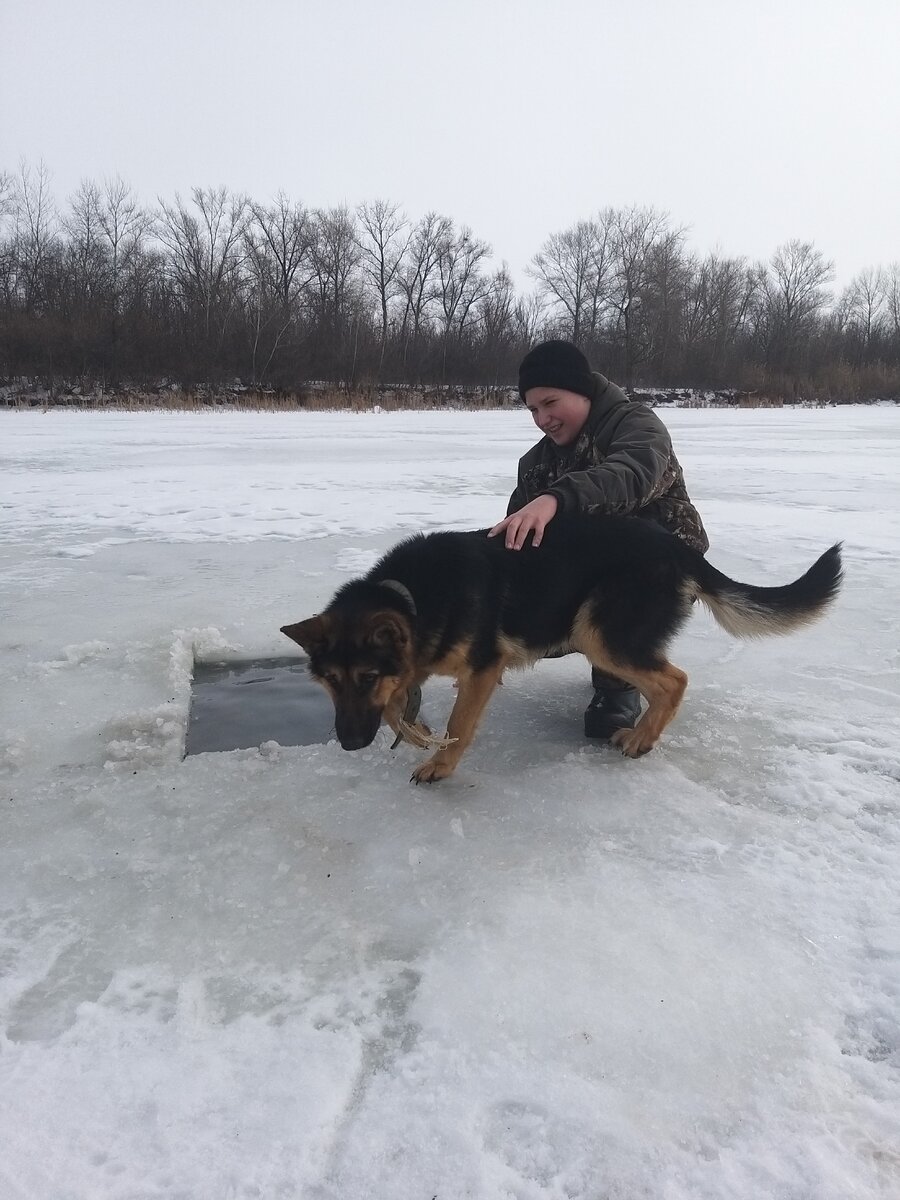 Моя собака ЕВА помогала как могла.