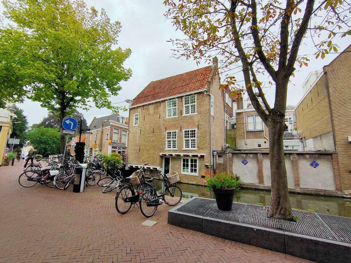 Велосипед в Голландии и так популярный транспорт, а в период коронавируса стал самым главным