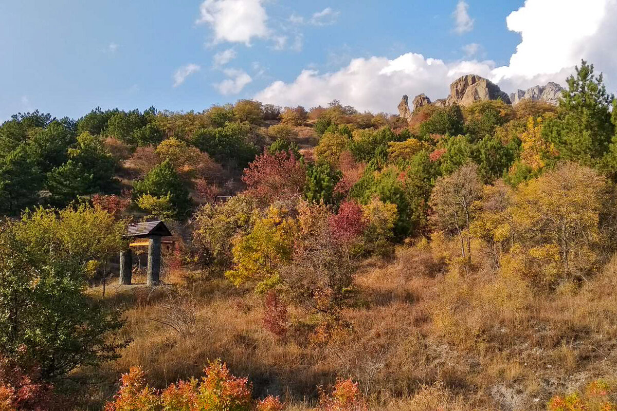 Осень в Крыму дзен