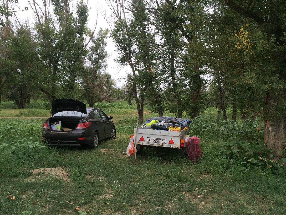 Личное фото,  2020 г.