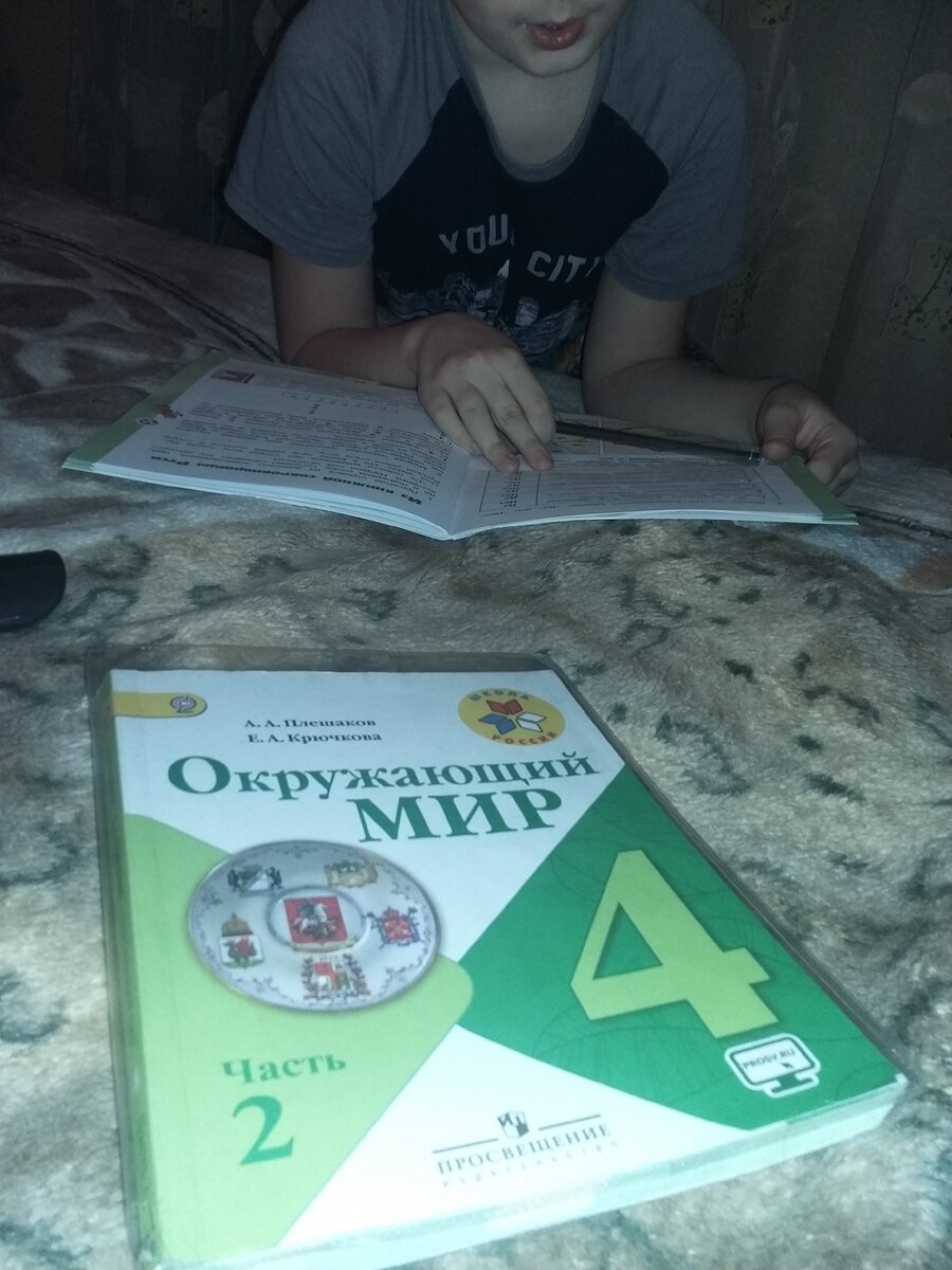 Окружающий мир, подготовка к проекту, 4 класс