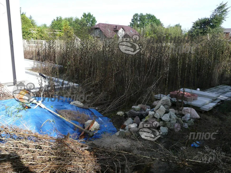 участок до расчистки