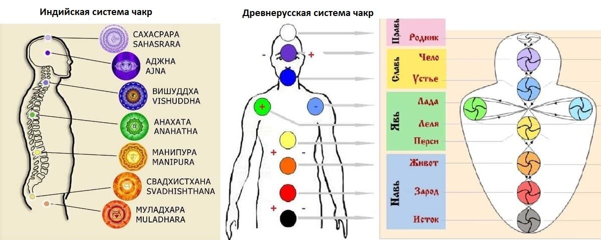 Система хара