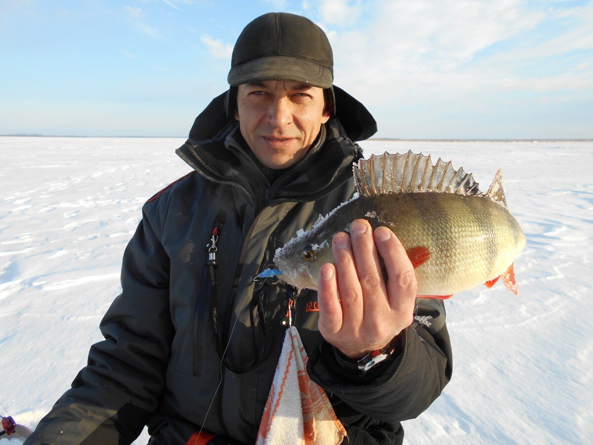 Юрьич может!