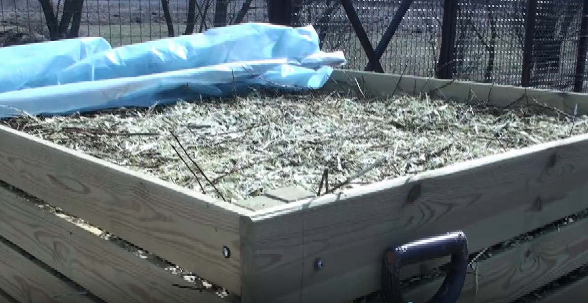 Куча готова