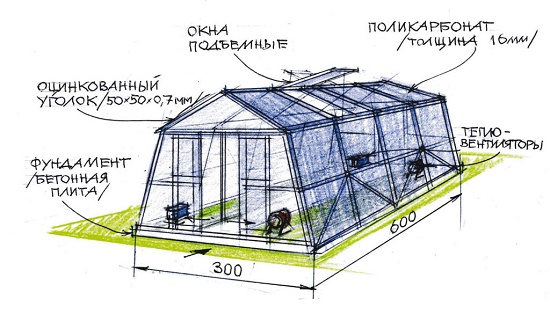 Теплица для зимнего выращивания овощей