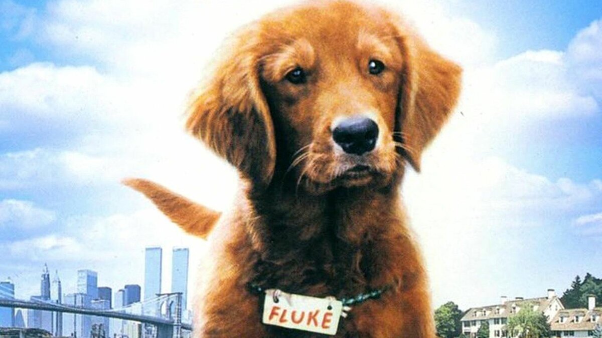 История одновременно и поучительная и грустная. Пересматривая фильм недавно, все равно заплакал ближе к концу, а в самом финале осталась улыбка.