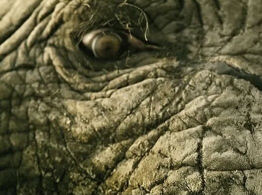 Драма, триллер. Канада. В главных ролях: Ксавье Долан, Брюс Гринвуд, Кэтрин Кинер.