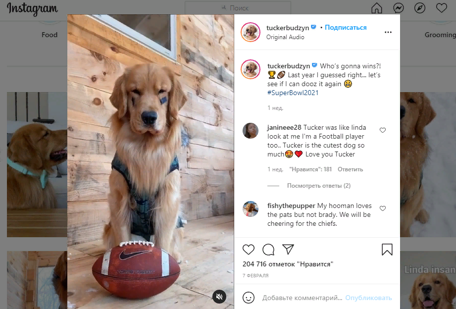 Игрок в американский футбол