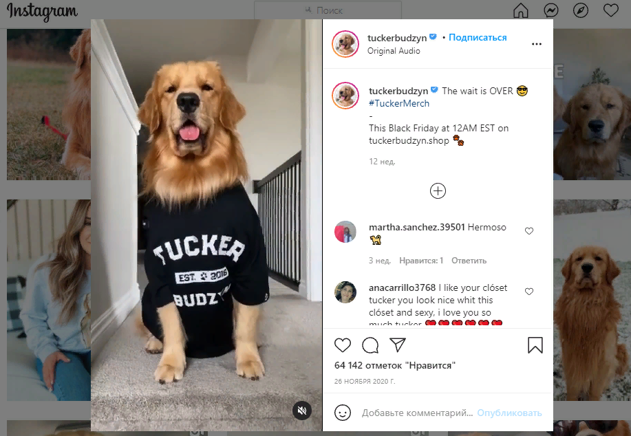 Майка с именем собаки