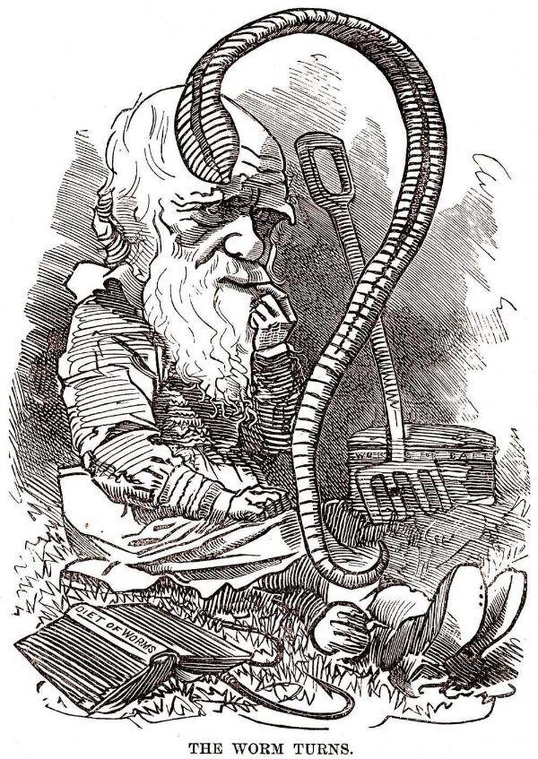 Дарвин и повороты дождевого червя, Popular Science Monthly, c.1881.