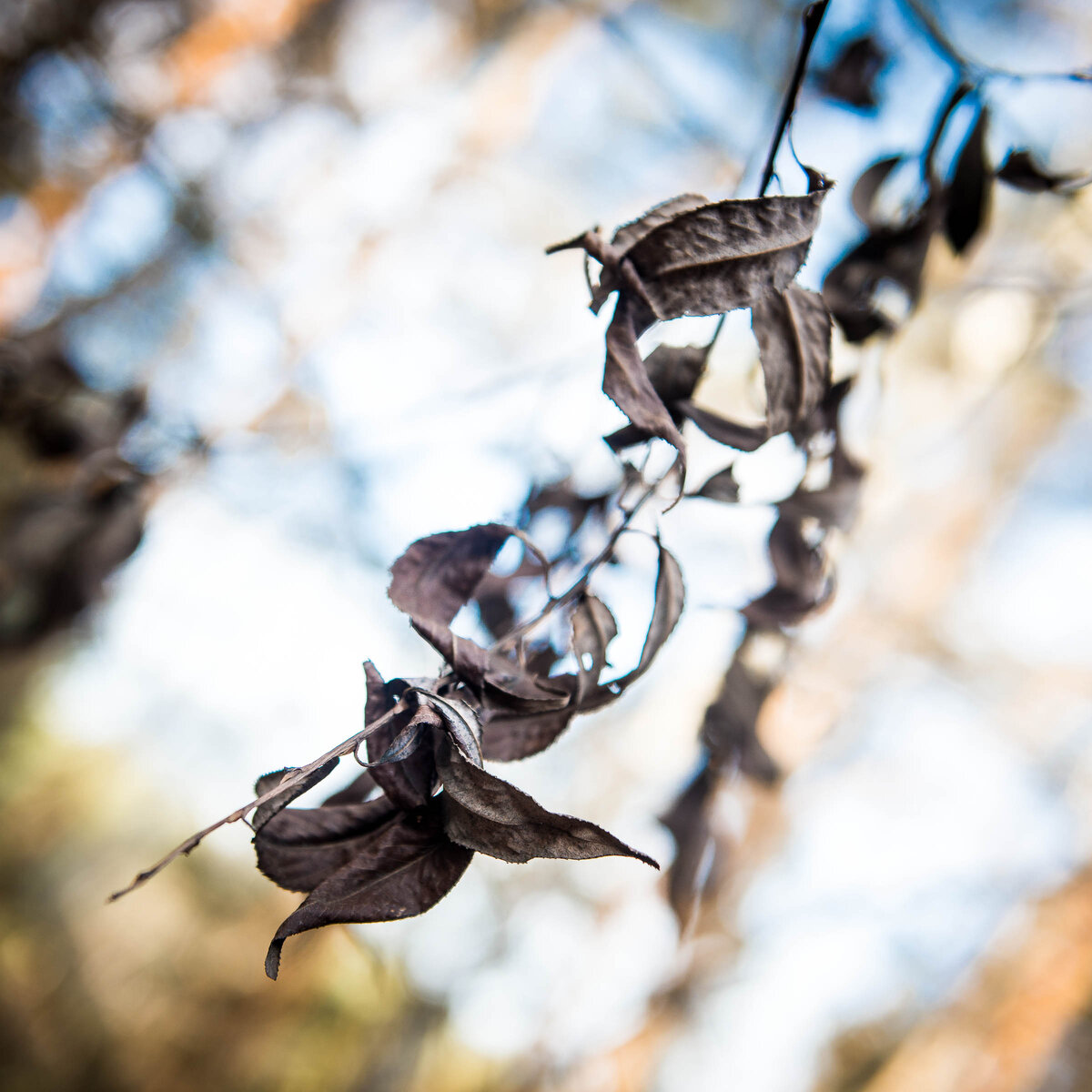 Видеть красоту в простом...                                                                                          Фото автора