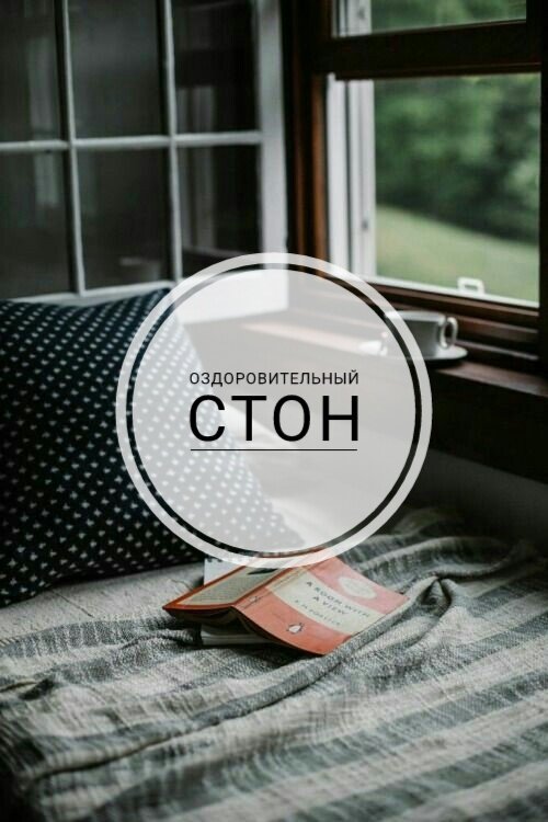 Фото из открытого доступа Pinterest