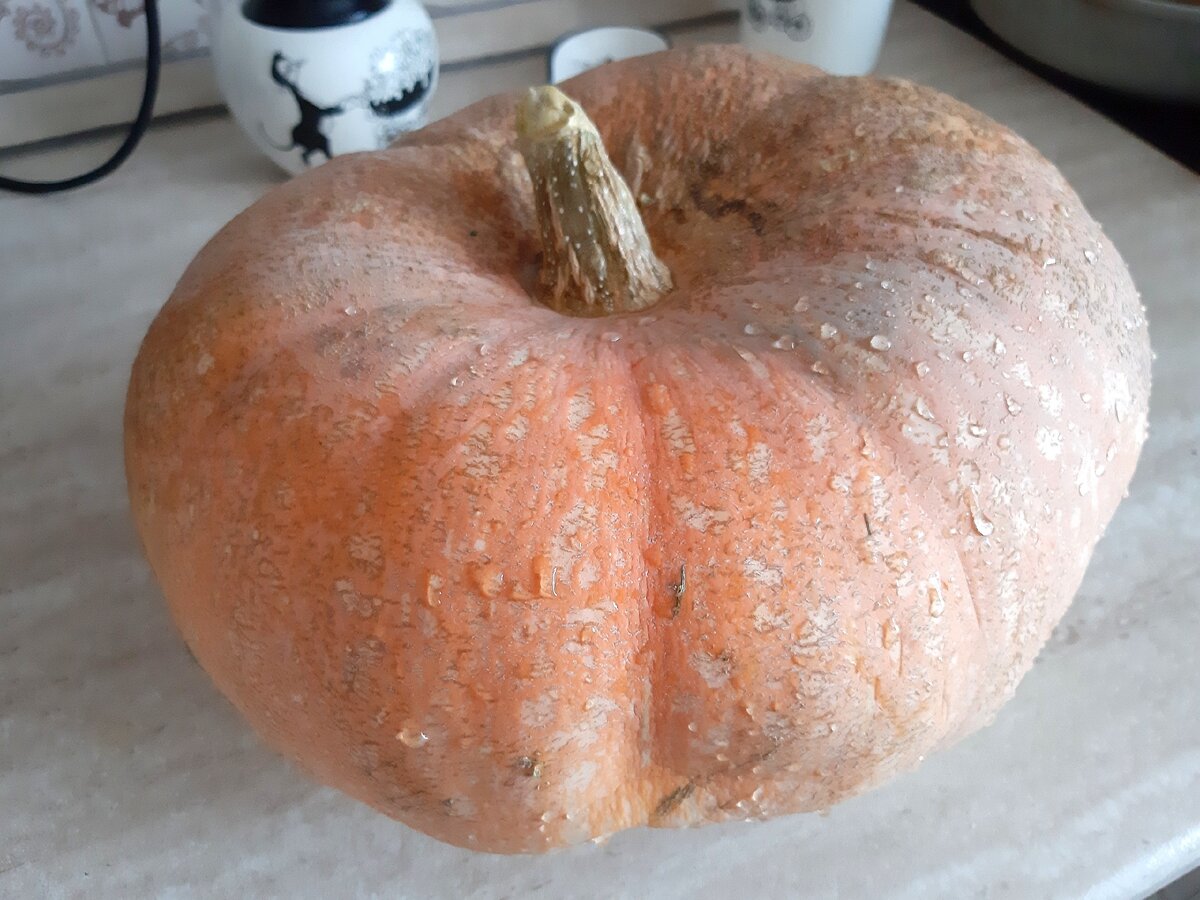 За зиму высохла немного.