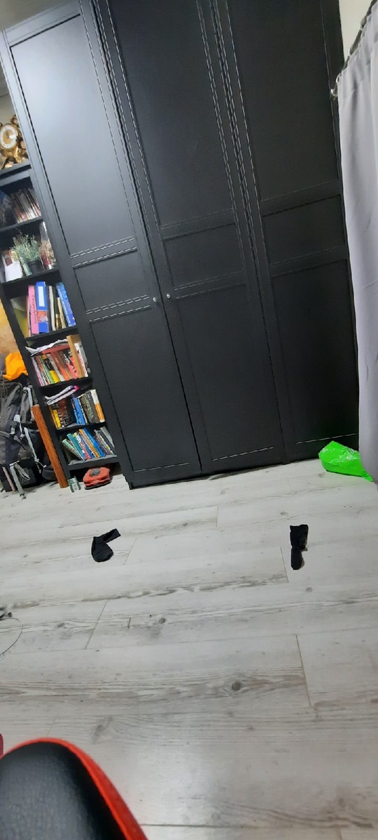 фото взято из открытых источников