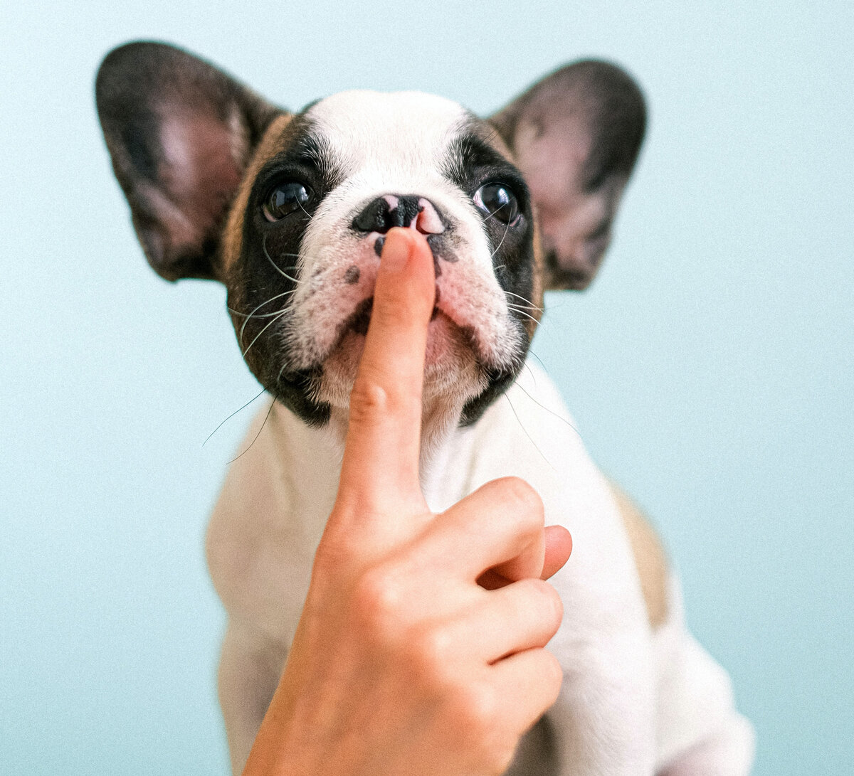  Фото автора Anna Shvets: Pexels
