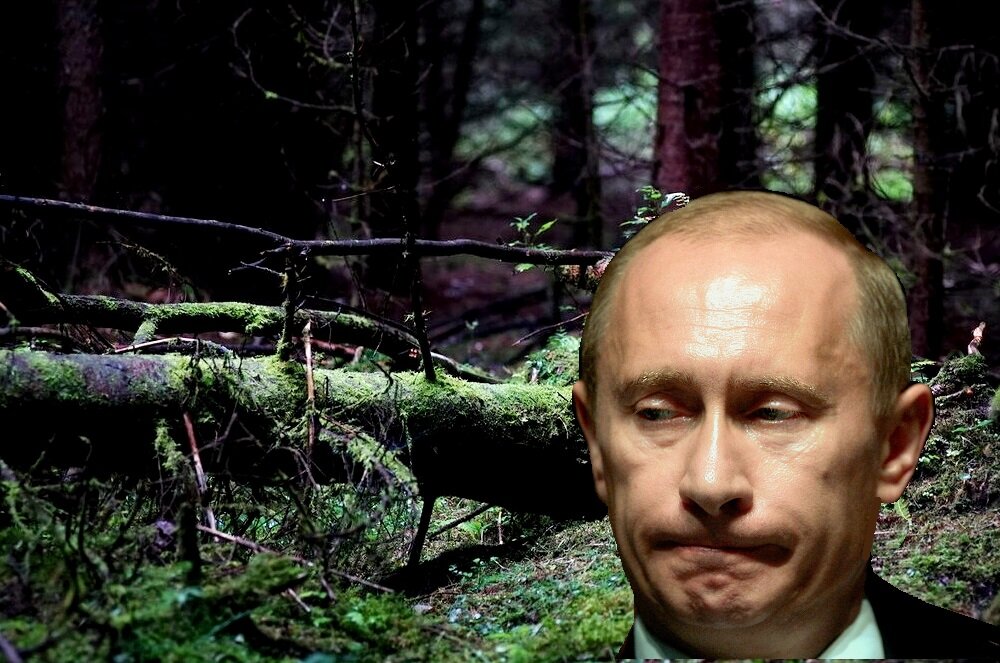 Иосиф бродский с сигаретой. Пескарь иваныч мемы. Едем дальше мем. Дальше сейчас найду. Дальше сейчас найду.