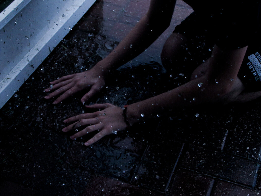 Изображение взято из открытых источников.