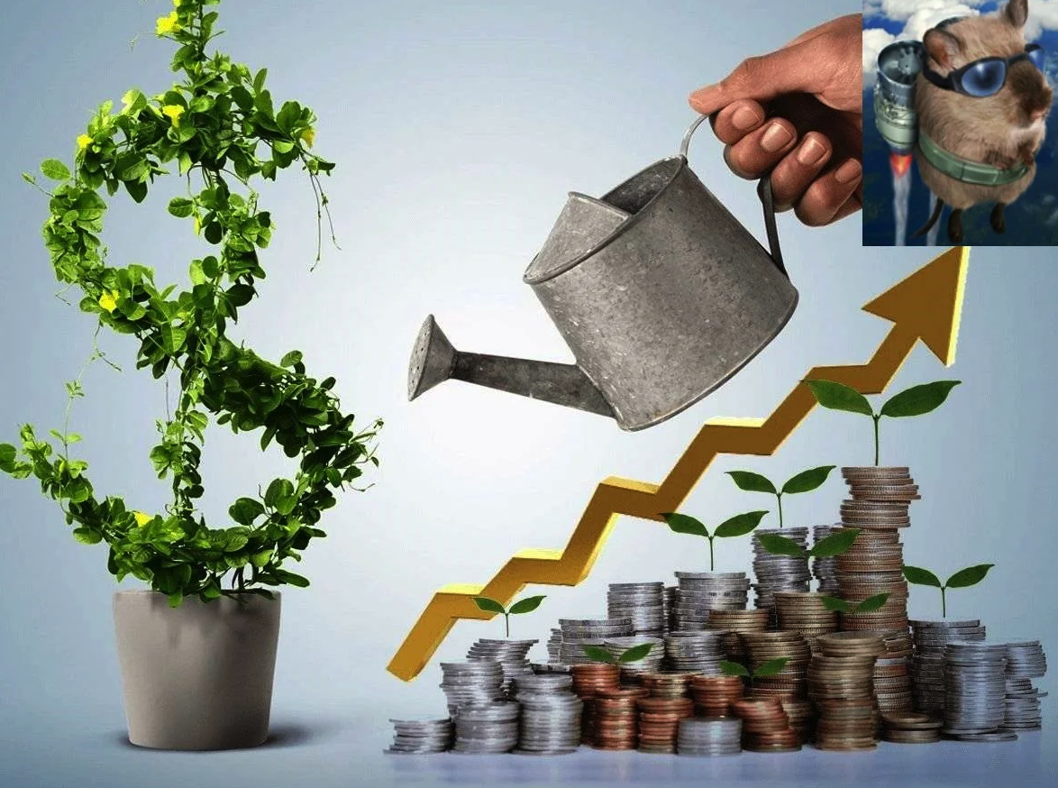 От инвестора до хомяка!