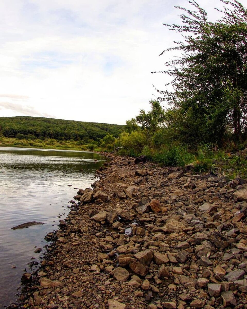 За год водоём изменился не сильно, сказалось засушливое лето, уровень воды упал приблизительно на метр. В связи с этим освободилась часть дамбы и разместиться на ней стало гораздо удобнее.