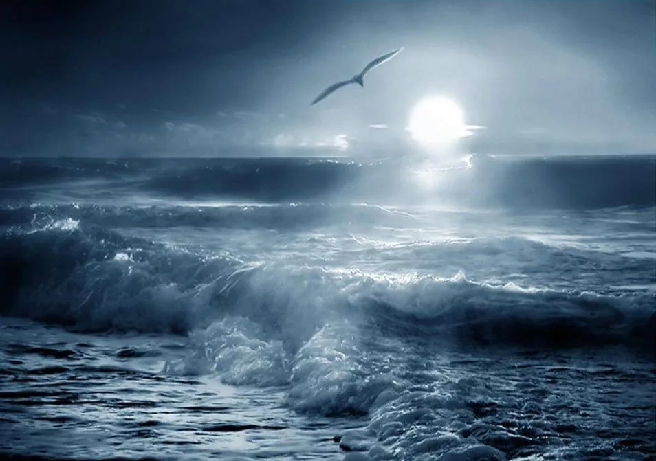 Словно ветер река. Море шторм. Бушующее море. Море шторм Чайки. Бушующий океан.