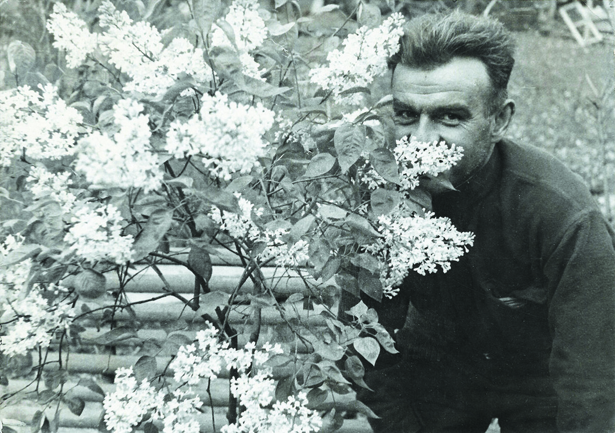 Л.А. Колесников с одним из своих новых перспективных гибридов. 1940 год. Фото предоставлено Татьяной Поляковой.