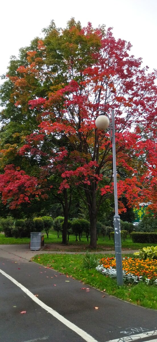 Сентябрь в столице. Прогулка моя. Фото моë. 