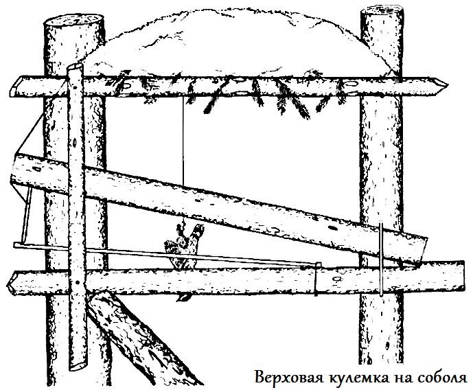 Томат Кулема, Семена Алтая, 0,05г, НОВИНКА