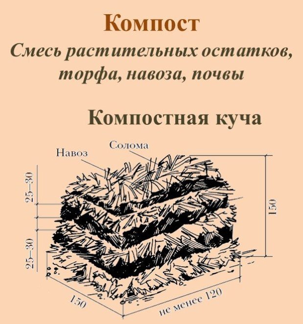 Взято из Яндекс. картинки