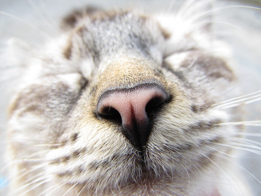 Фото из Интернета