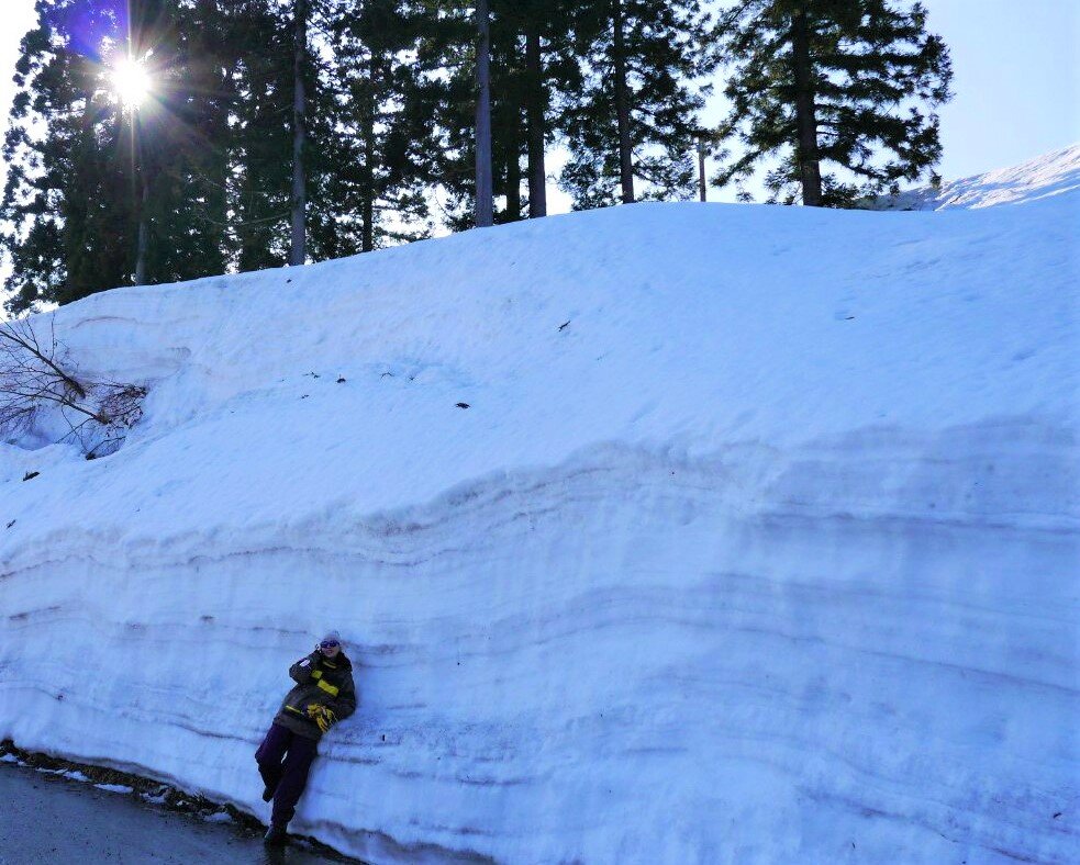 Jоetsu (префектура Ниигата)