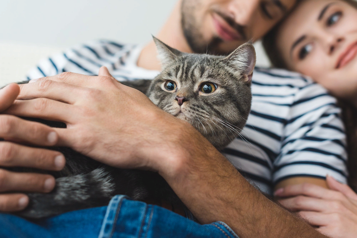 Какого кота завести. Держит кота. Пара с котом на руках. Психология кошек. Айлурофилия.