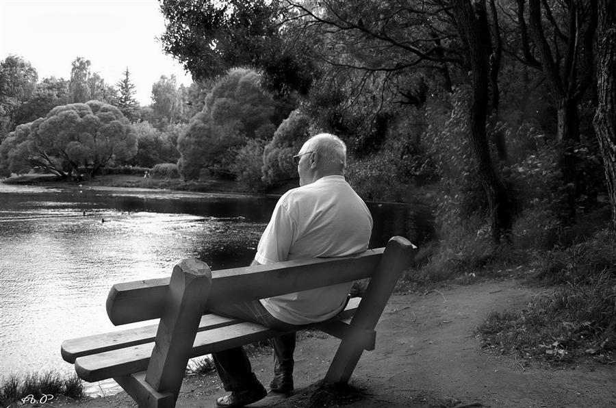 Фото из интернет ресурса 