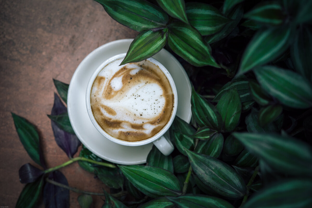 Как приготовить капучино в кофемашине: 5 простых способов