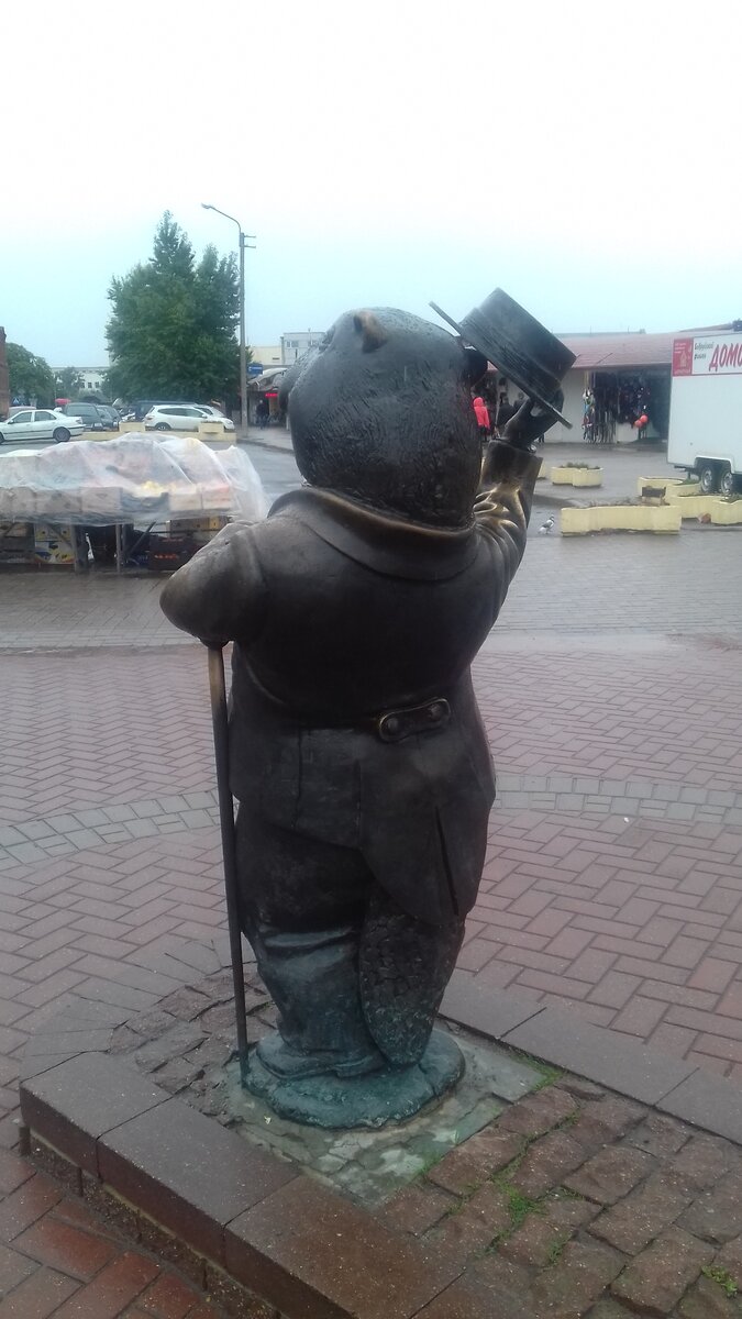 Бобр, вид сзади.