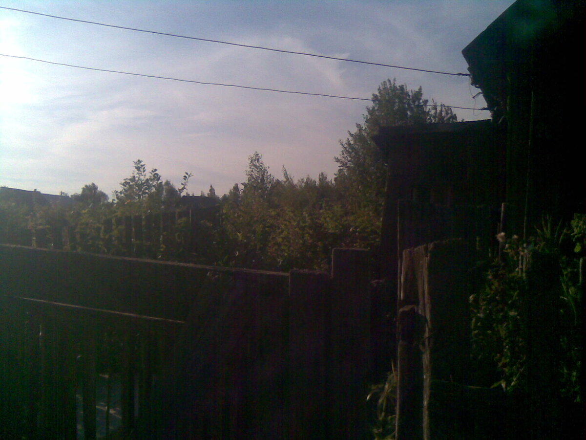 Участок был весь заросший