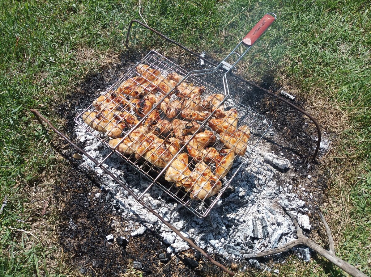 Как приготовить шашлык из курицы: лучшие маринады и все тонкости процесса