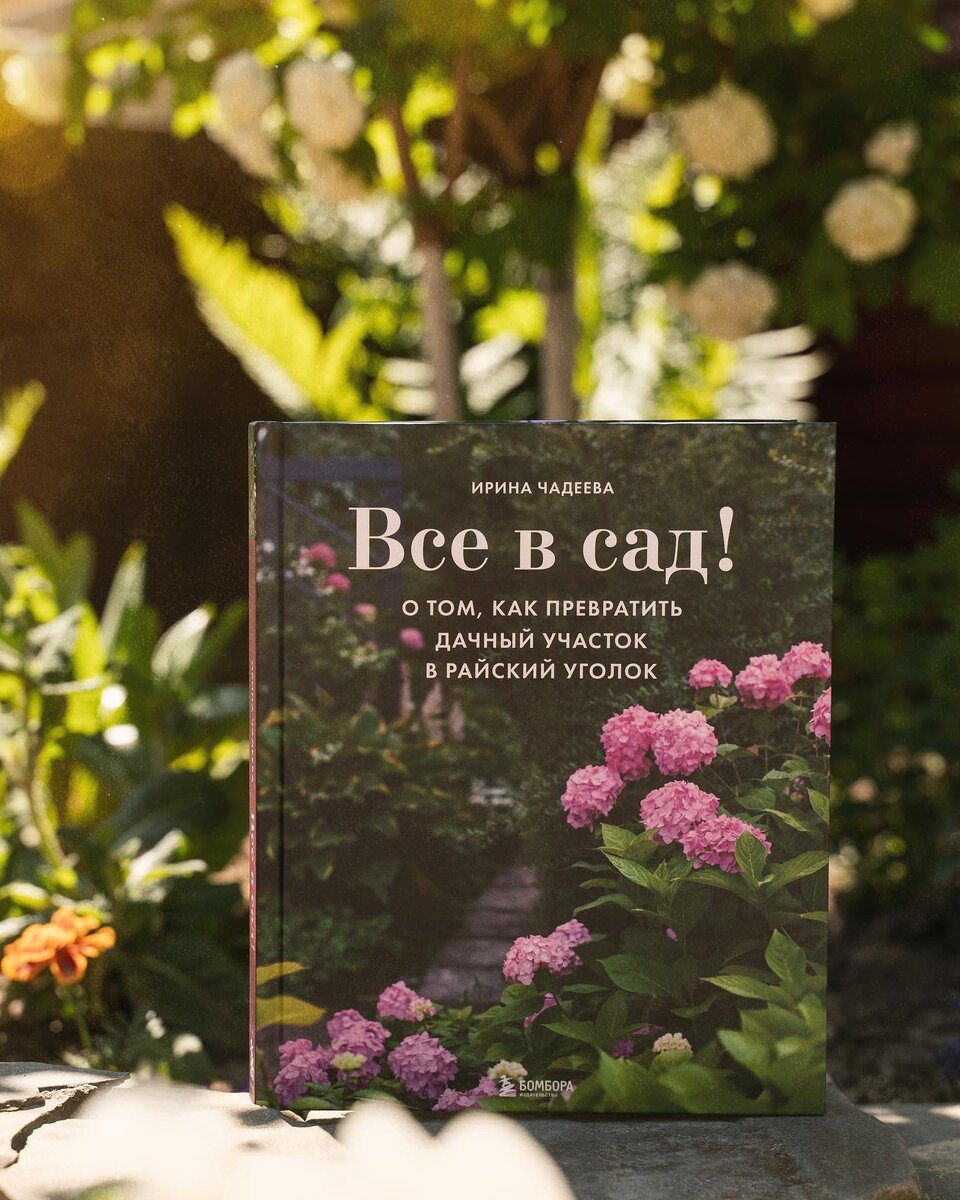 Издательство «Бомбора» 2022г.