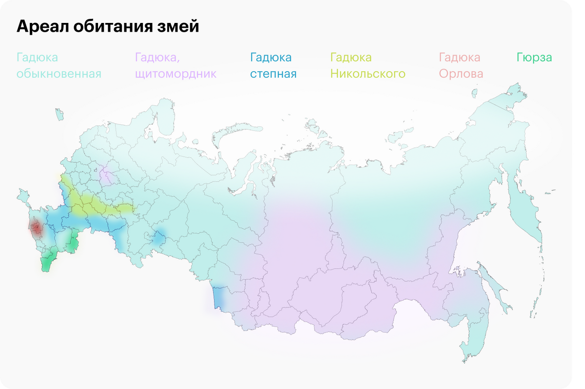 Что делать, если укусила змея? Яд отсасывать не нужно! Рассказывает  медицинский журналист | З—Ж: канал про ваше здоровье | Дзен