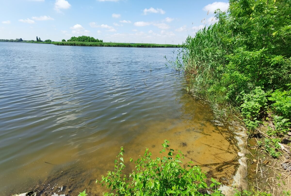 Вода в ахтубе сегодня. Ахтуба фото. Уровень воды в Ахтубе сегодня. Фото на пляжах Ахтуба. Ахтуба цена.