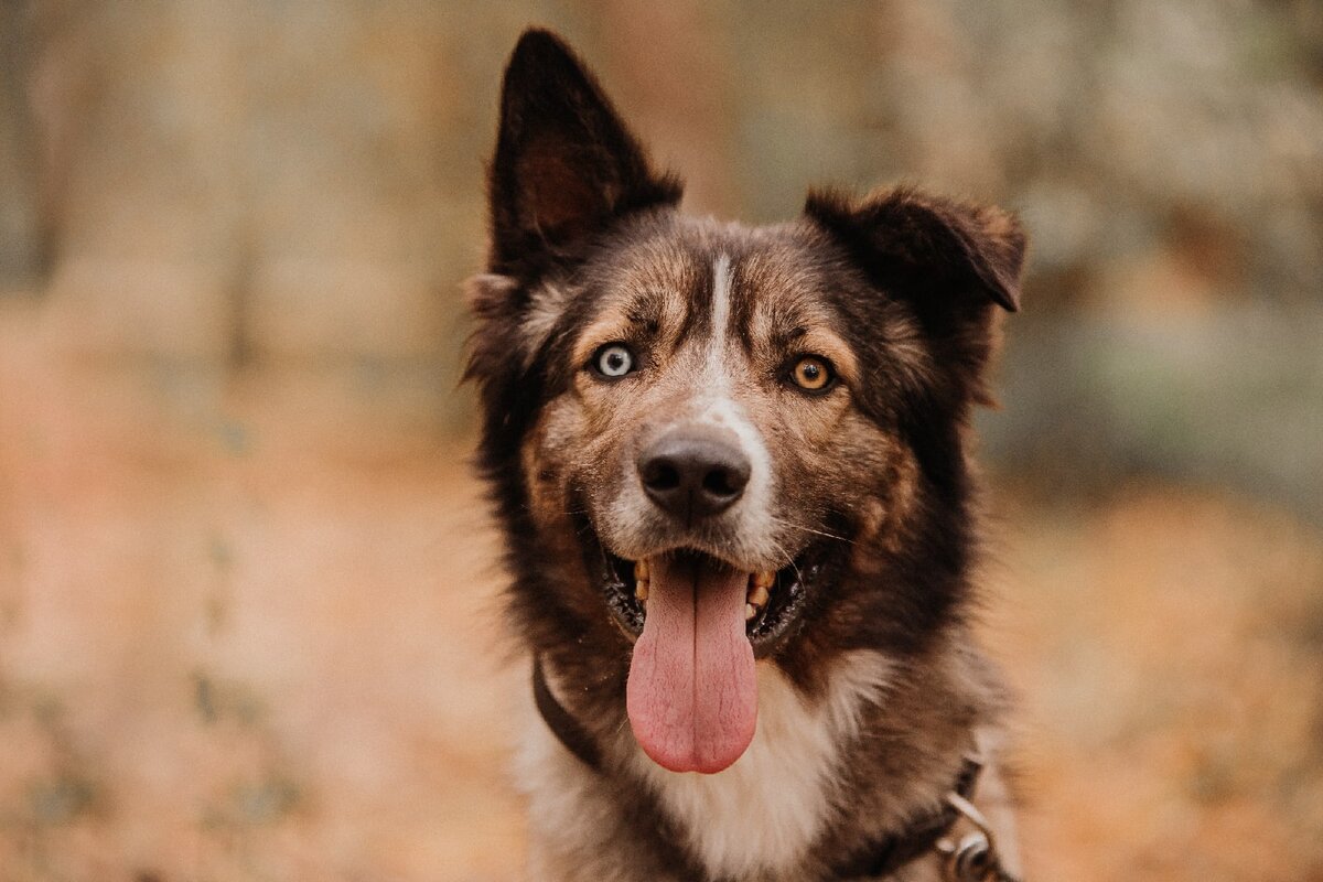 Модест в приюте