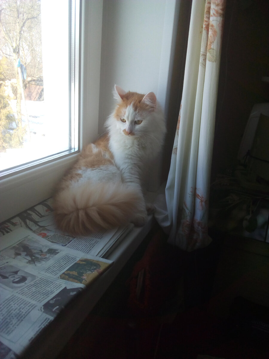 Задумался о смысле жизни.