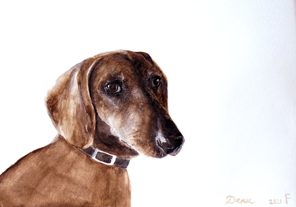 Портрет "Дени", а также посмотрите дальше фото, как Дени получил по почте свой портрет.) Акварель, бумага
Картина находится в частной коллекции, можно заказать повтор.