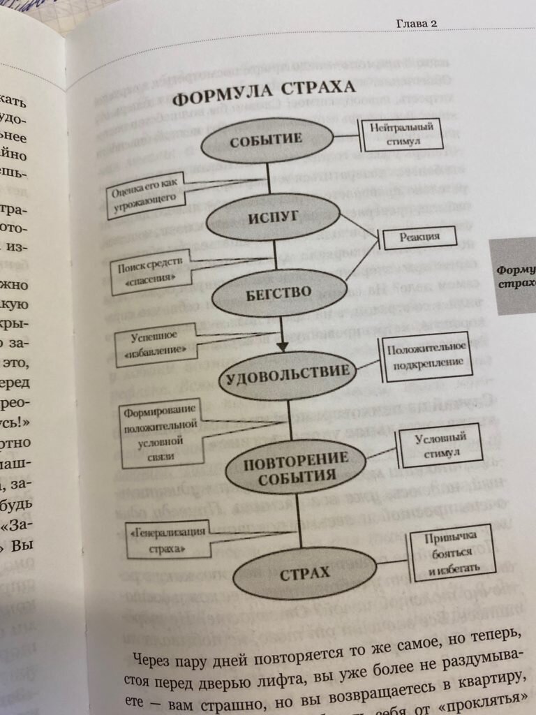 И снова о тех самых страхах и о том, как с ними работать - обзор книги  Андрея Курпатова. | Библиотека успеха - обзор деловой литературы и личные  финансы | Дзен