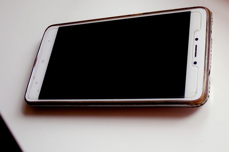     Под Липецком полицейские задержали воровку телефонов Юлия КЛЮЕВА