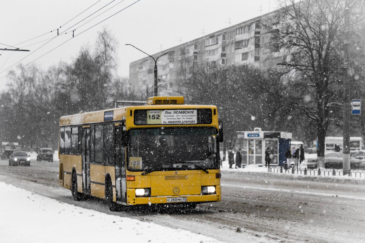 Низкопольные автобусы стандарта VöV во Владимире. 2020-е | Troll&Bus | Дзен