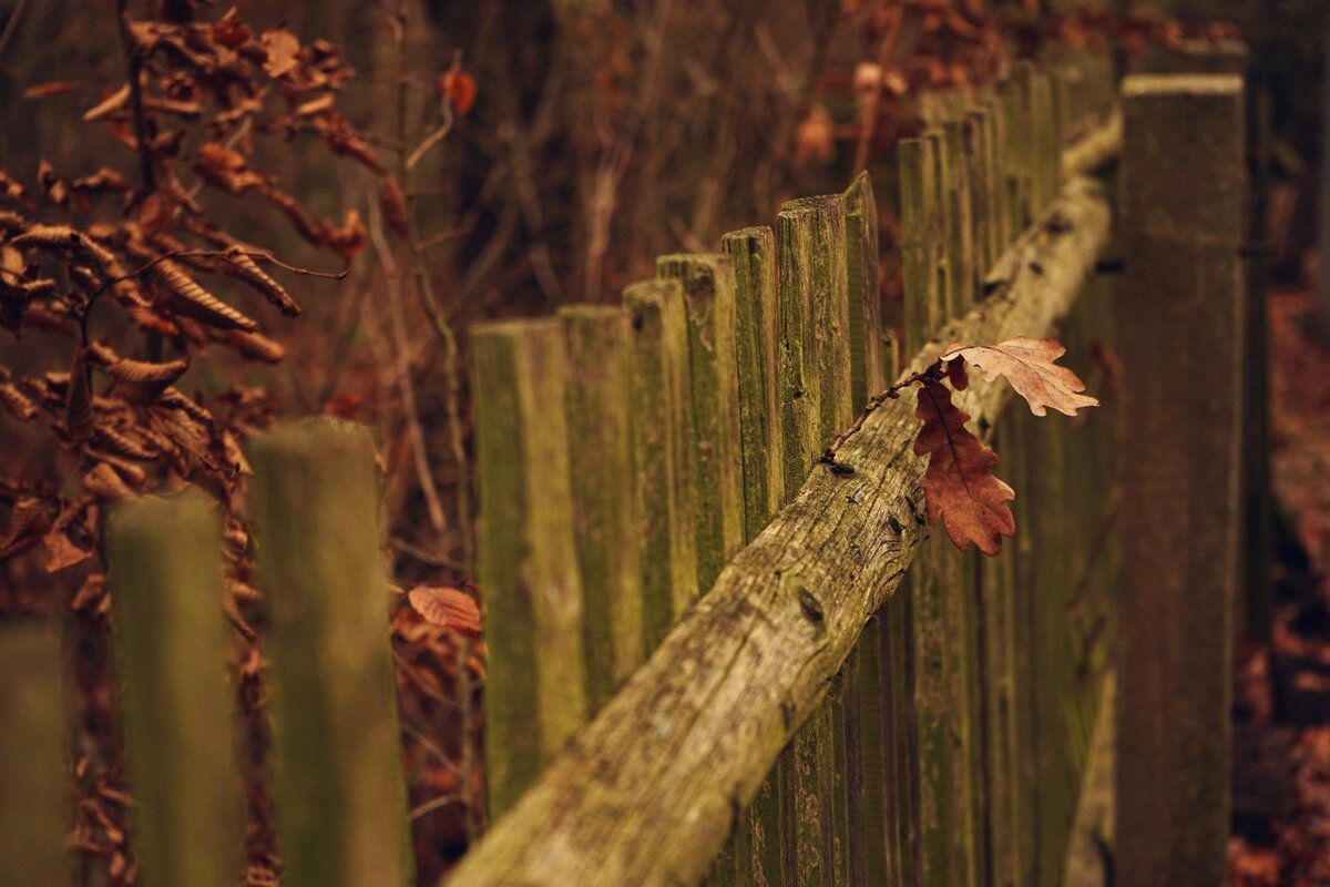 Источник: яндекс картинки