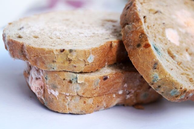    Почему хлеб стал так быстро плесневеть и можно ли этого избежать?