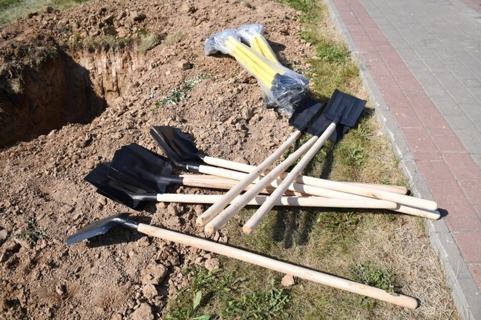     Ростовчане боятся, что в роще СКА вырубят деревья Михаил ФРОЛОВ