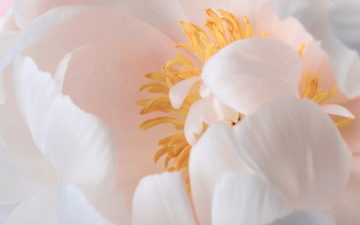 Только сертифицированные органические формулы